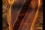No hinge wood