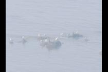 29751-210x140