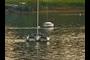 Sailboats
