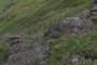 Lough Nafooey Volcanics
