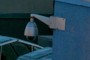 Security camera