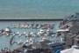 Sea Lions