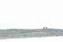 Børaunen