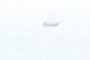 Gostship