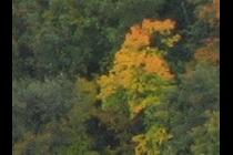 29850-210x140