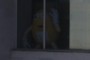 Let me out!