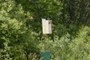 Birdhouse