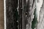 Texture