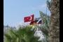 Flags