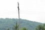 Powerline Cut