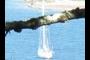 Sailboat