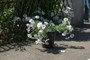 Plastic flowers to be used for decoration