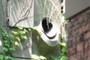 Downspout