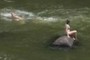 swimming in the Casselman river