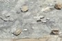 rocks delimit the tunnel roof