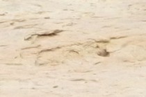 283224-210x140