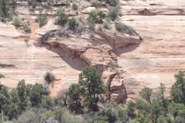 283268-210x140