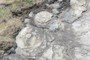 Sand Volcanoes