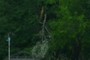 More storm damage