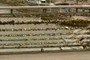Love locks