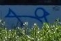 CNSC Symbol (Bird/Fish)