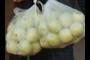 apple season?