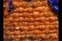 Canvas weave
