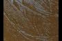 Feathers