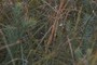 hmm? ;nearby nature