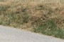 buried Hotwheels