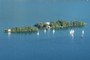 Isole di Brissago with a regatta