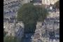 Circus &amp; the Plane Trees
