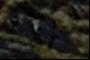 Alien Spacecraft