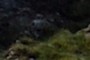Alien spacecraft