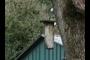 Bird house