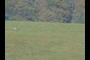 Solsbury Triangulation Point