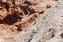Exposed contact with Fish-Bed