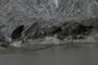 dead ice