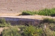 286007-210x140