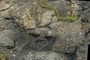 North Mountain Basalt