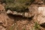Base of Channel?