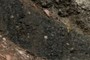 Black Layer