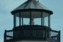 The Light