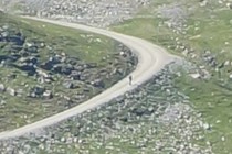 286337-210x140