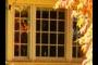 Window reflection