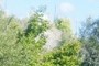 The part of the mountain