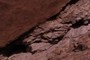 Grey Mudstone