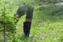 Rubber Boots  - Equipment 