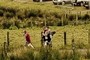 more hikers
