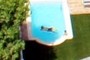 cool in pool